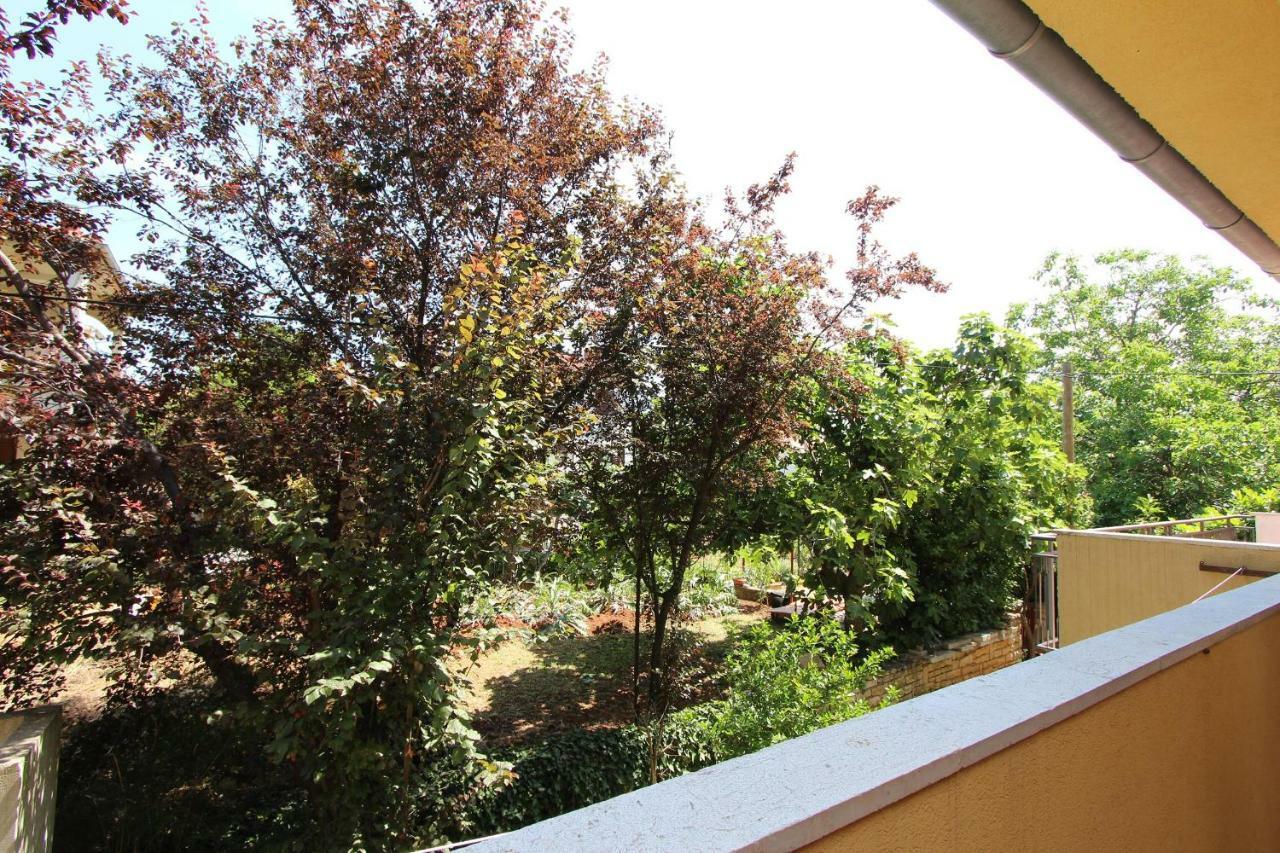 Apartments Lora ロヴィニ エクステリア 写真